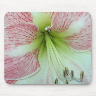 Open Amaryllis Appelbloesem Muismat