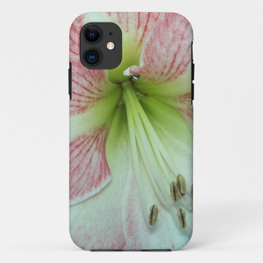 Open Amaryllis Apple Blossom Case-Mate iPhone Case (Achterkant)
