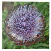 Open Artichoke Flower. Paars. Tegeltje (Voorkant)