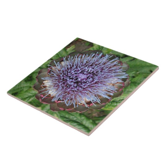Open Artichoke Flower. Paars. Tegeltje (Zijkant)