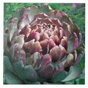 Open Artichoke. Tegeltje