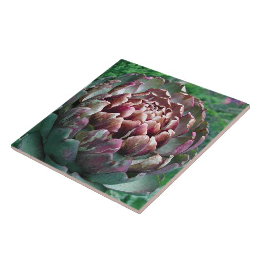 Open Artichoke. Tegeltje (Zijkant)
