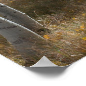 Open Bossen Poster (Hoek)