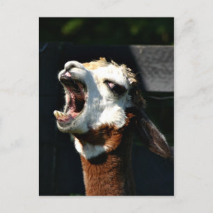 Open breed briefkaart