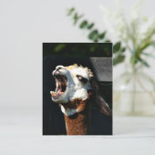 Open breed briefkaart (Staand voorkant)