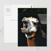 Open breed briefkaart (Voorkant / Achterkant)