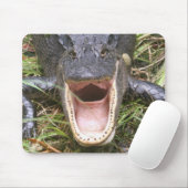 Open Breed! Florida Alligator Muismat (Met muis)