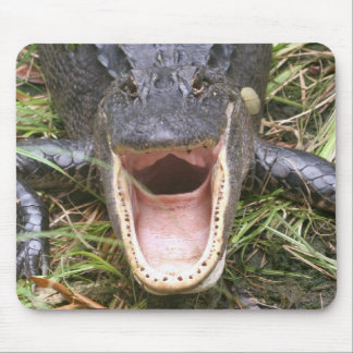 Open Breed! Florida Alligator Muismat