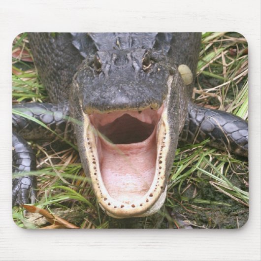 Open Breed! Florida Alligator Muismat (Voorkant)