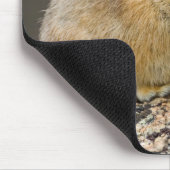 Open breed muismat (Hoek)