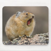 Open breed muismat (Voorkant)