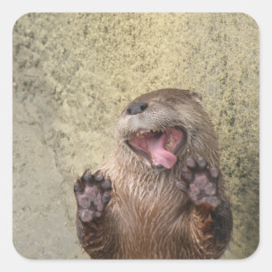 Open Breed! Otter Stickers