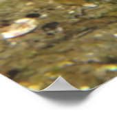 Open Breed! Poster (Hoek)