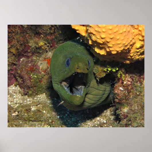 Open Breed! Poster (Voorkant)