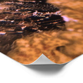 Open breed poster (Hoek)