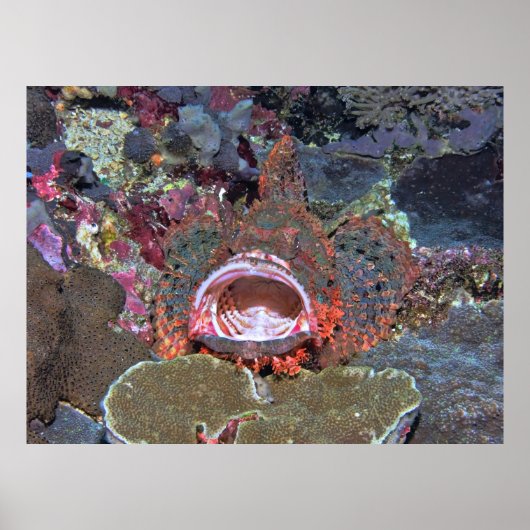 Open breed poster (Voorkant)