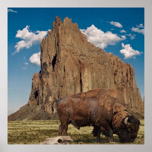 Open Country Poster (Voorkant)