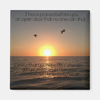 Open deurmagneet magneet