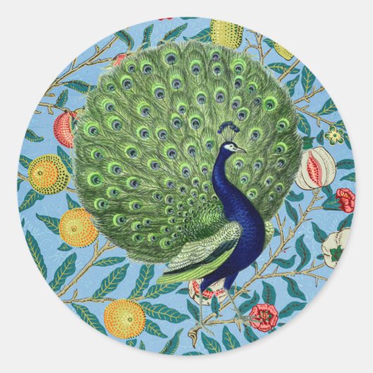  Open Fan Feathers Peacock Ronde Sticker (Voorkant)