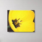 Open gele tulp in gewikkeld canvas afdruk (Voorkant)