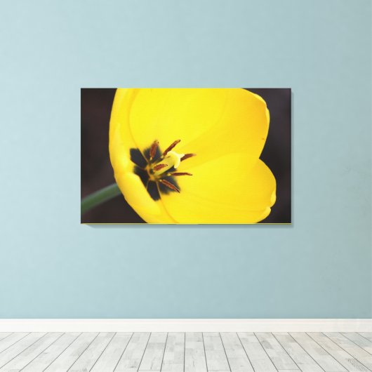 Open gele tulp in gewikkeld canvas afdruk (Insitu (Houten vloer))