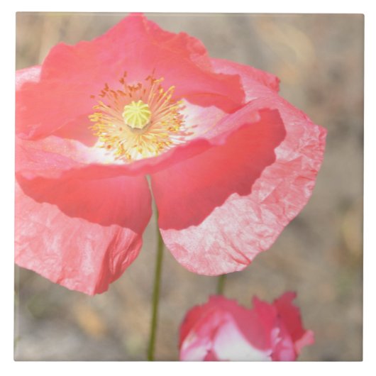 Open Heart Poppy Floral Ceramic Tile Tegeltje (Voorkant)