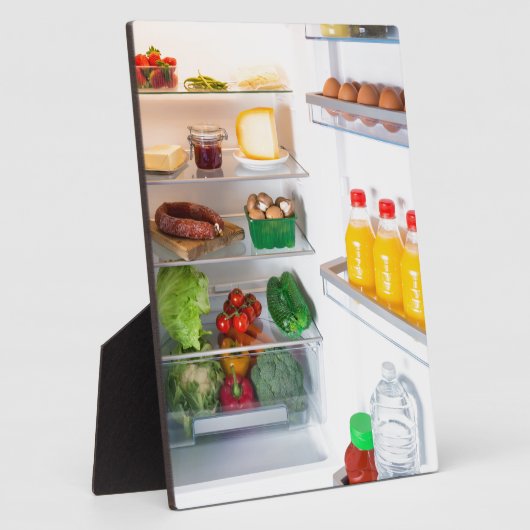 Open koelkast gevuld met voedsel fotoplaat (Zijkant)