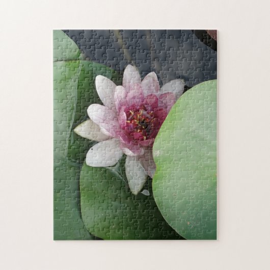Open Lotus Bloem Foto Legpuzzel (Verticaal)