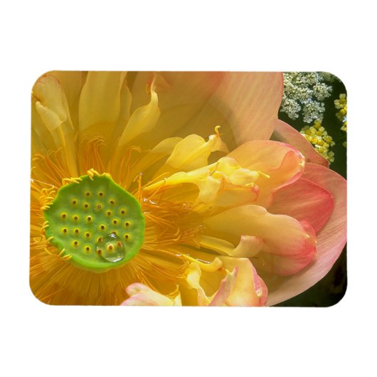 Open Lotus Magnet Magneet (Horizontaal)