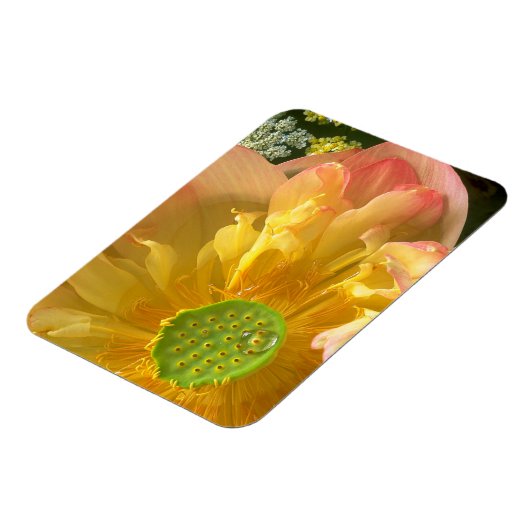 Open Lotus Magnet Magneet (Linkerzijde)