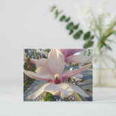 Open Magnolia Briefkaart (Staand voorkant)
