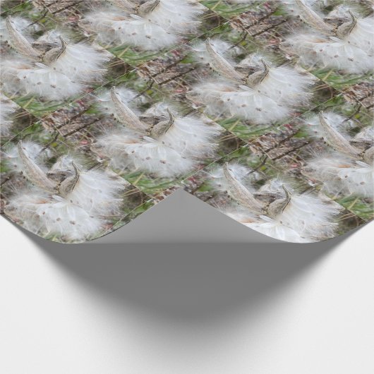 Open Milkweed Pods | Zaden met zijde | Cadeaupapier (Hoek)