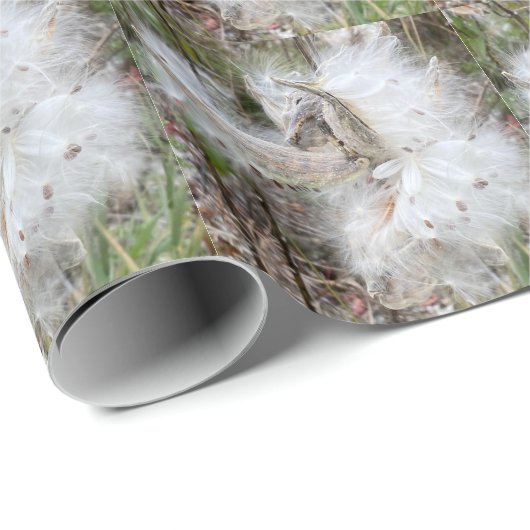 Open Milkweed Pods | Zaden met zijde | Cadeaupapier (Rol Hoek)