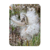 Open Milkweed Pods | Zaden met zijde | Flexibel Magneet (Verticaal)