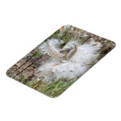 Open Milkweed Pods | Zaden met zijde | Flexibel Magneet (Linkerzijde)