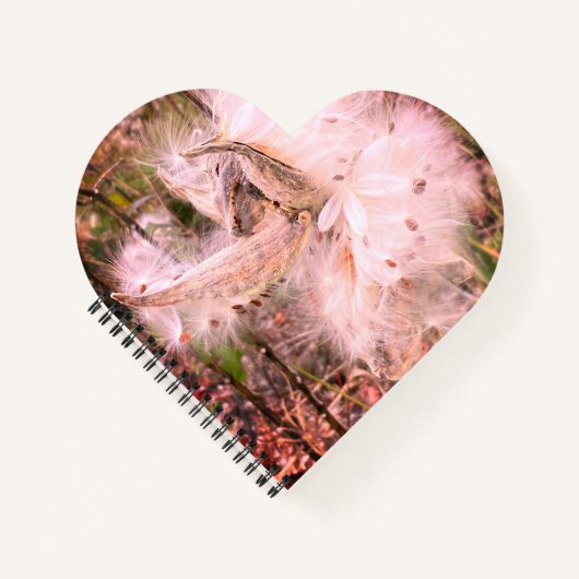 Open Milkweed Pods | Zaden met zijde | Hart Notitieboek (Voorkant)