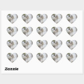 Open Milkweed Pods | Zaden met zijde | Hart Sticker (Vel)