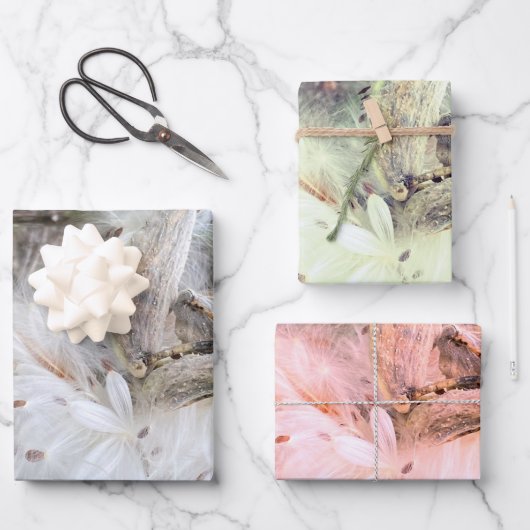 Open Milkweed Pods | Zaden met zijde | Inpakpapier Vel (Voorkant)