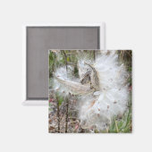 Open Milkweed Pods | Zaden met zijde | KANTOOR Magneet (Voorkant / Achterkant)