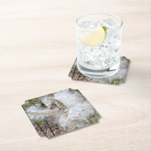 Open Milkweed Pods | Zaden met zijde | Kartonnen Onderzetters (Insitu)