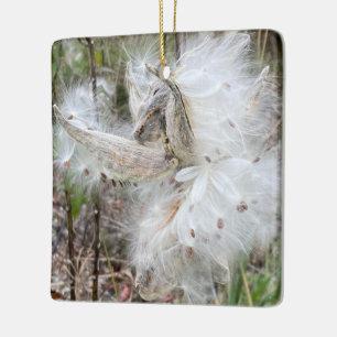 Open Milkweed Pods   Zaden met zijde   Keramisch Ornament