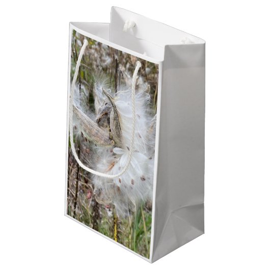 Open Milkweed Pods | Zaden met zijde | Klein Cadeauzakje (Achterkant Gekanteld)