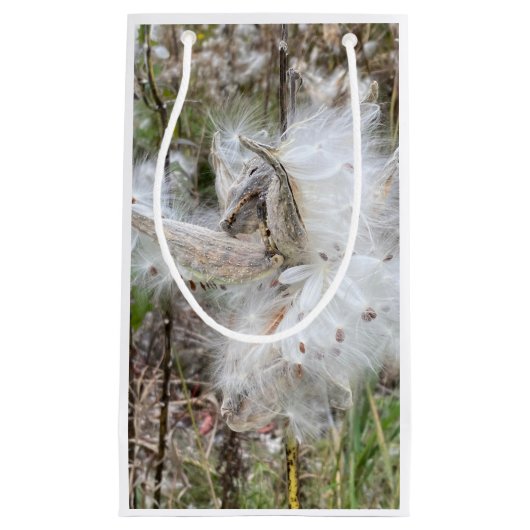 Open Milkweed Pods | Zaden met zijde | Klein Cadeauzakje (Voorkant)