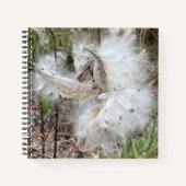 Open Milkweed Pods | Zaden met zijde | Notitieboek (Voorkant)