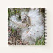 Open Milkweed Pods | Zaden met zijde | Notitieboek (Achterkant)