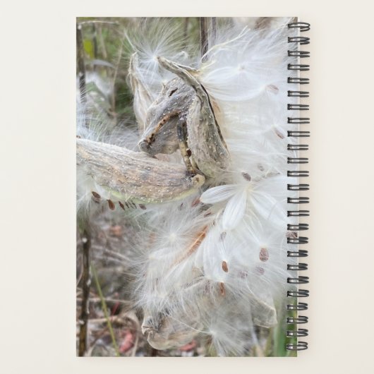 Open Milkweed Pods | Zaden met zijde | Planner (Achterkant)