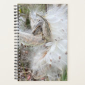 Open Milkweed Pods | Zaden met zijde | Planner (Voorkant)