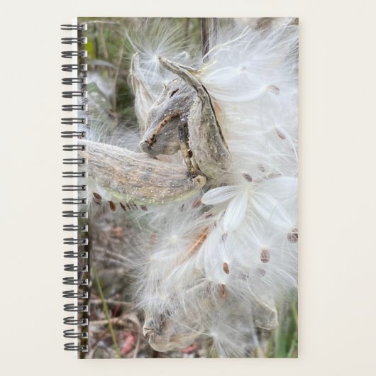 Open Milkweed Pods | Zaden met zijde | Planner (Voorkant)