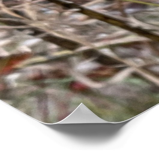 Open Milkweed Pods | Zaden met zijde | Poster (Hoek)