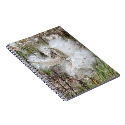 Open Milkweed Pods | Zaden met zijde | Spiraal Notitieboek (Rechterzijde)